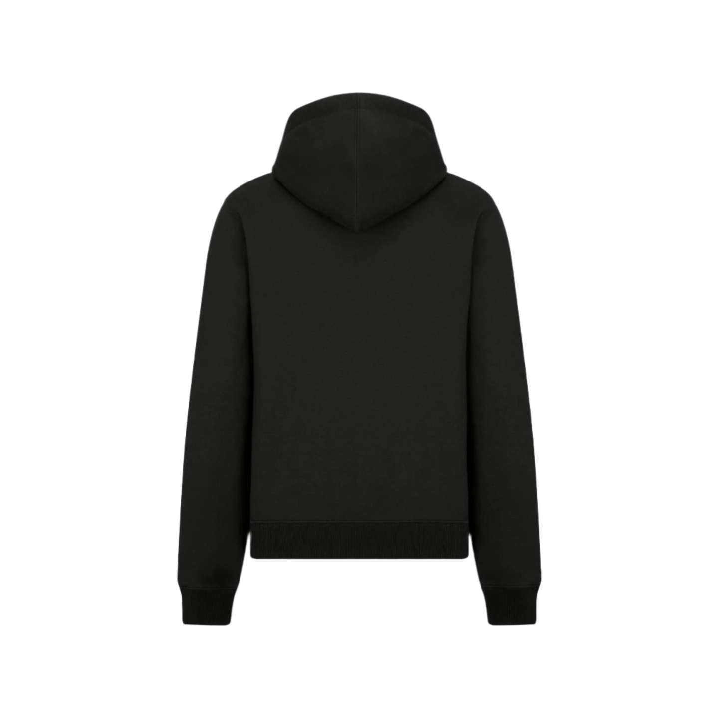 DIOR CD Icon hoodie